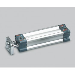TWNC - Cilindro vástagos gemelos Ø63 x 250 mm