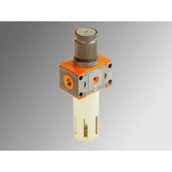 FR 300 3/4" 20µ 0-8bar RMSA