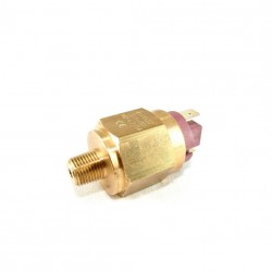Presostato NA 1/8" 0 -10 bars